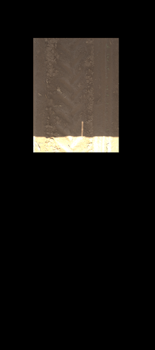 Thumbnail of rgb_geotiff - MAC Field Scanner Season 6 Range 20 Column 13
