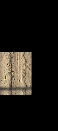 Thumbnail of rgb_geotiff - MAC Field Scanner Season 6 Range 20 Column 7